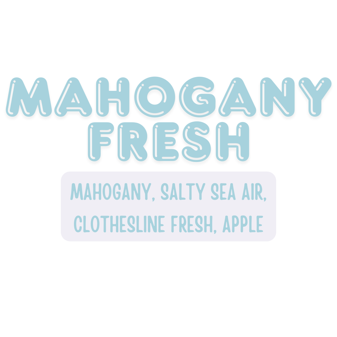 February Preorder- 6.7oz Snapbar